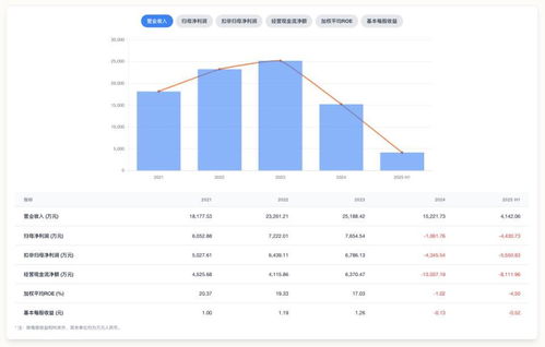 中創(chuàng)股份上市前后業(yè)績大反轉 高增長神話難持續(xù)，應用軟件服務行業(yè)隱憂何解？
